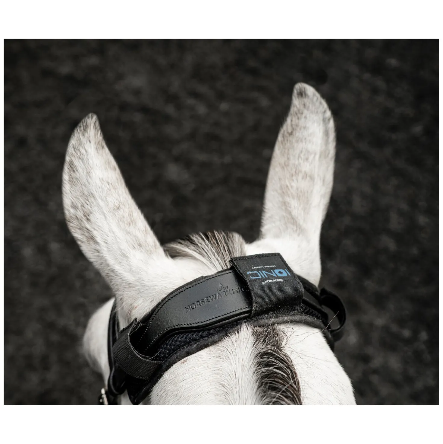 HORSEWARE Ionic Poll Cover
