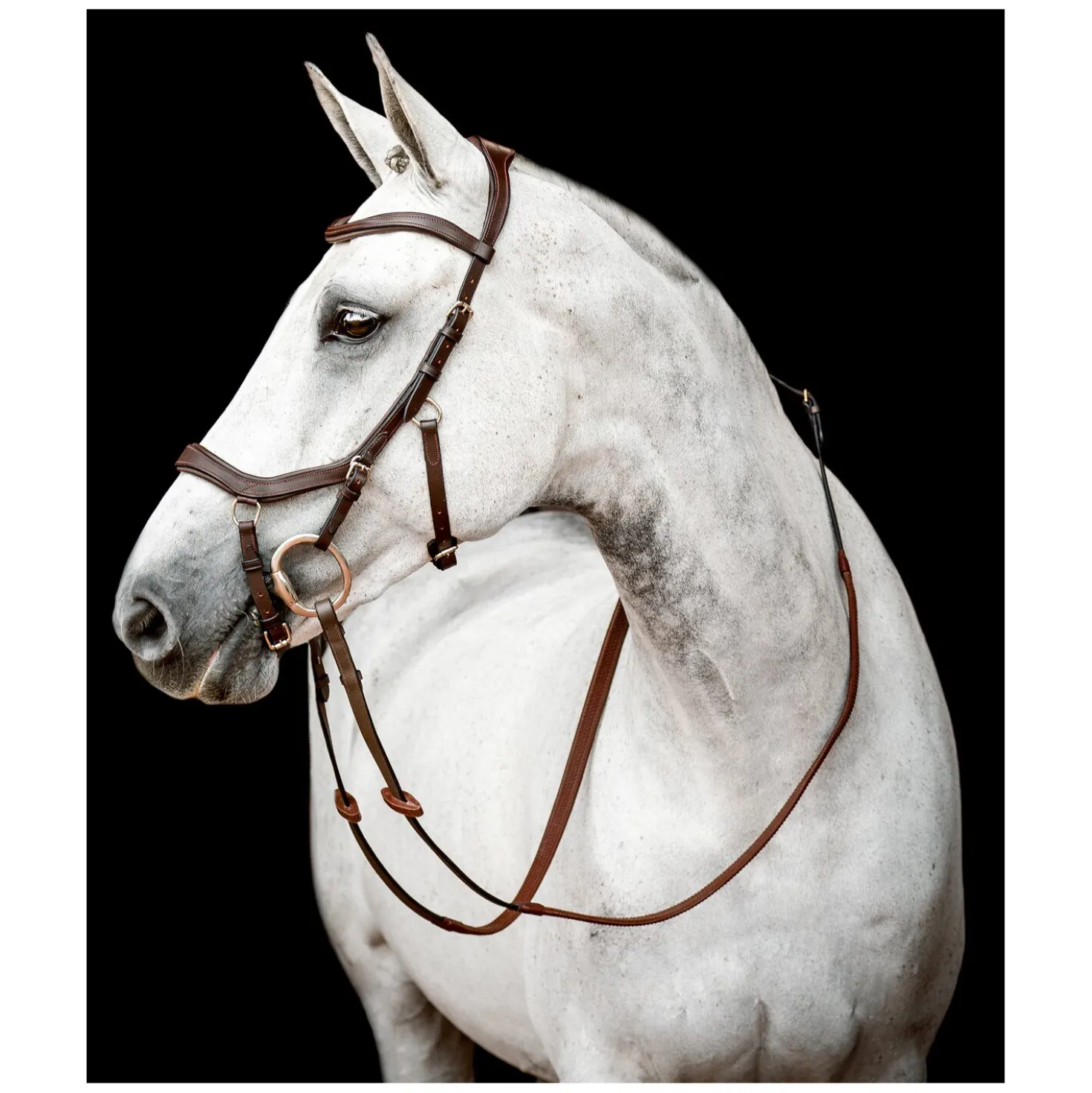 HORSEWARE Micklem 2 Competion Bridle