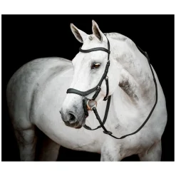 HORSEWARE Micklem 2 Competion Bridle