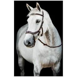 HORSEWARE Micklem 2 Multi Bridle