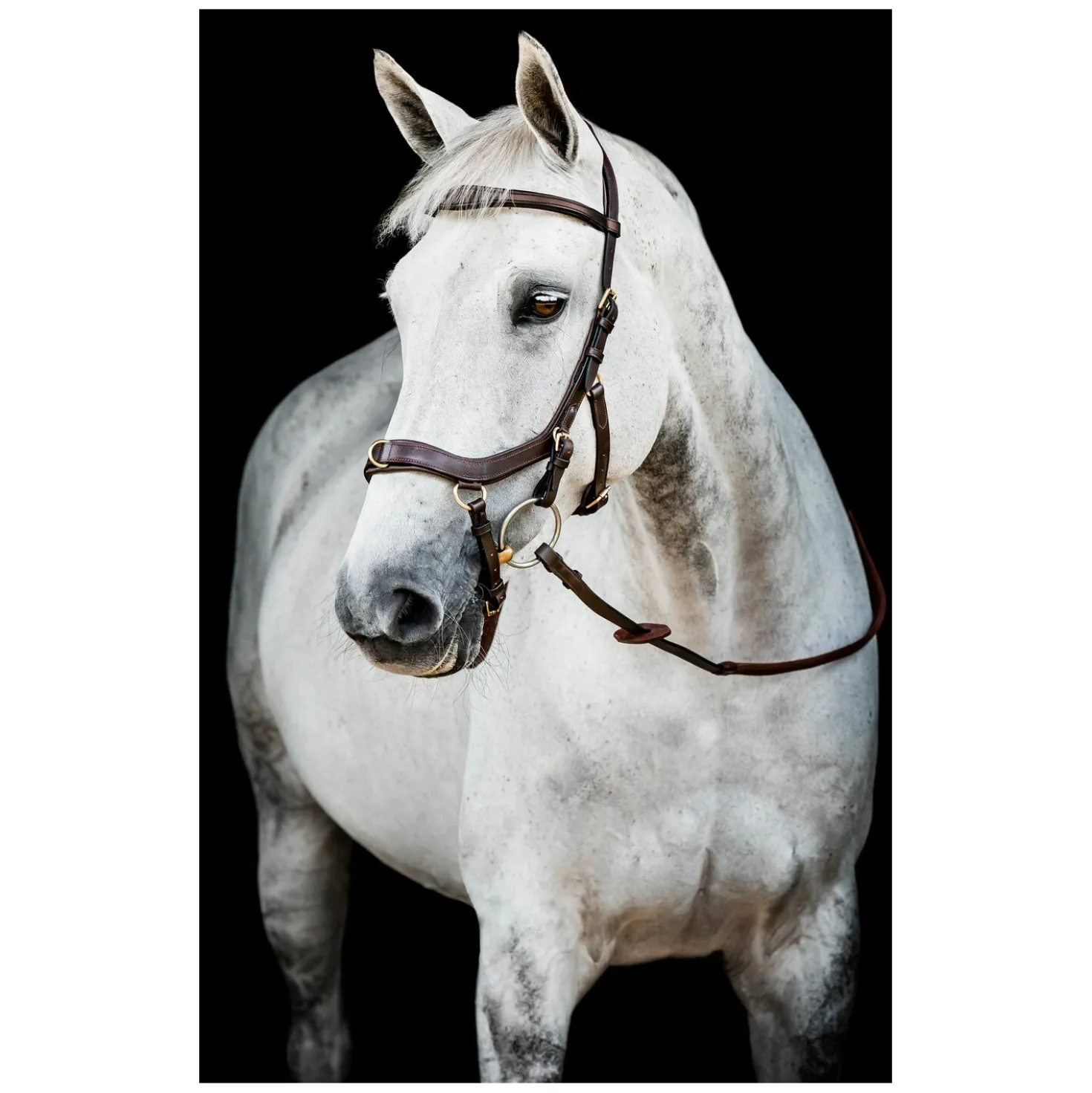 HORSEWARE Micklem 2 Multi Bridle