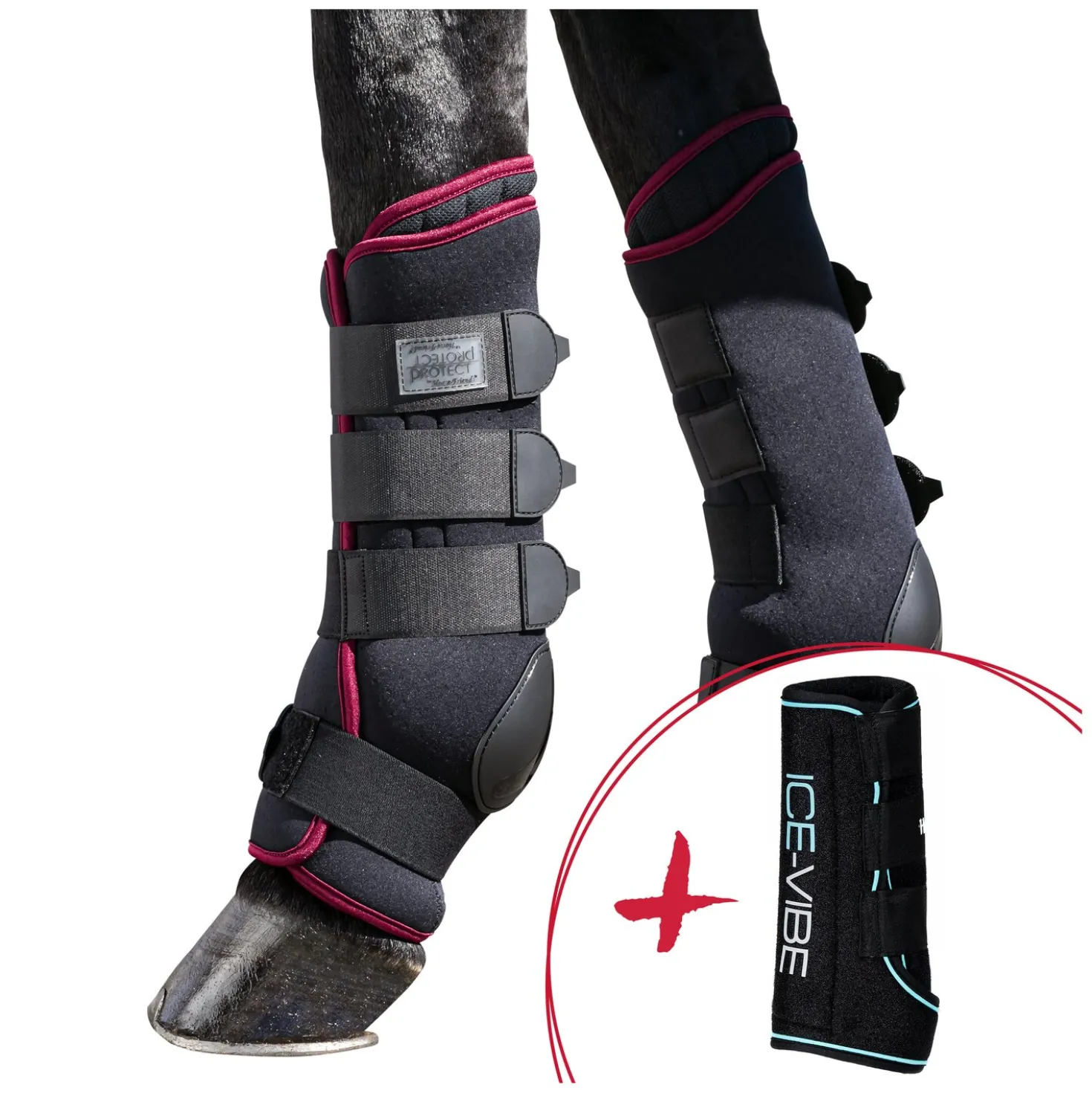 HORSEWARE & PROTECT by Horse-friends Set Wellness - Ices-Vibes und Stallgamaschen