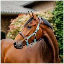 HORSEWARE Signature Halfter