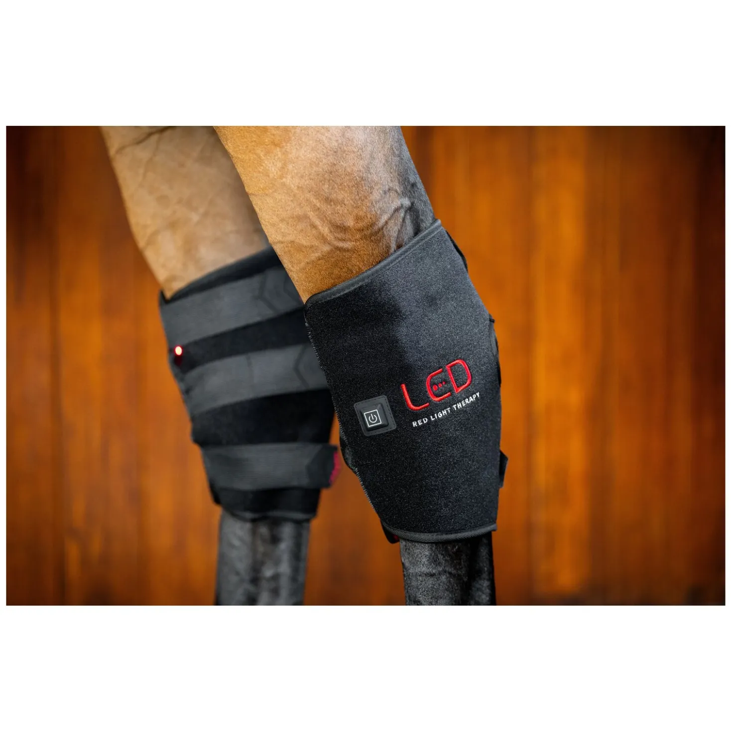 HORSEWARE Sprunggelenkgamasche LED Red Light Therapy