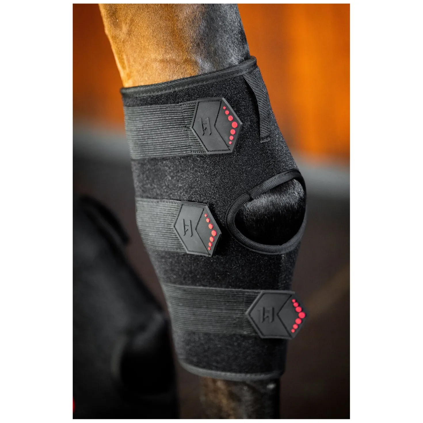 HORSEWARE Sprunggelenkgamasche LED Red Light Therapy