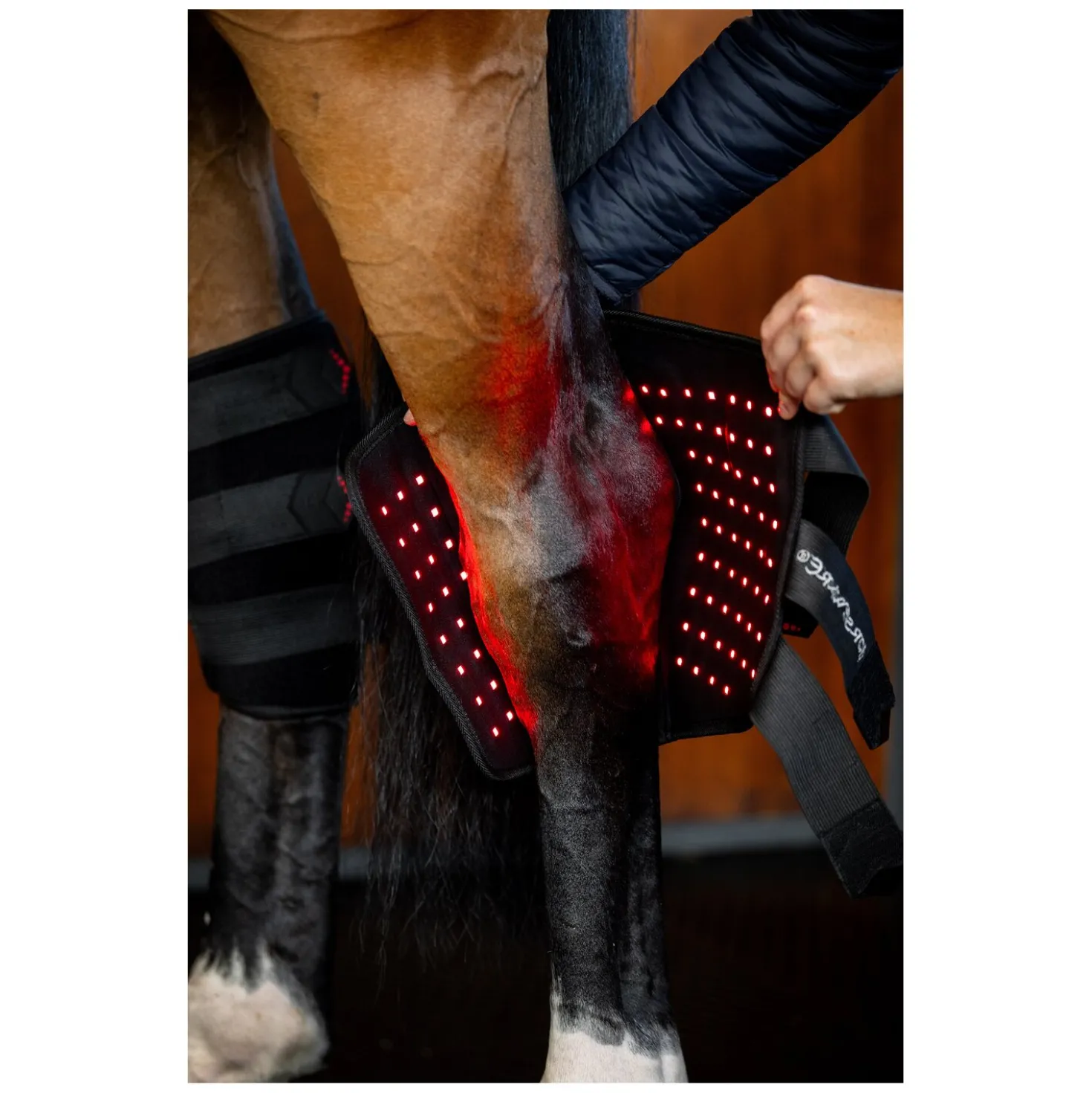 HORSEWARE Sprunggelenkgamasche LED Red Light Therapy