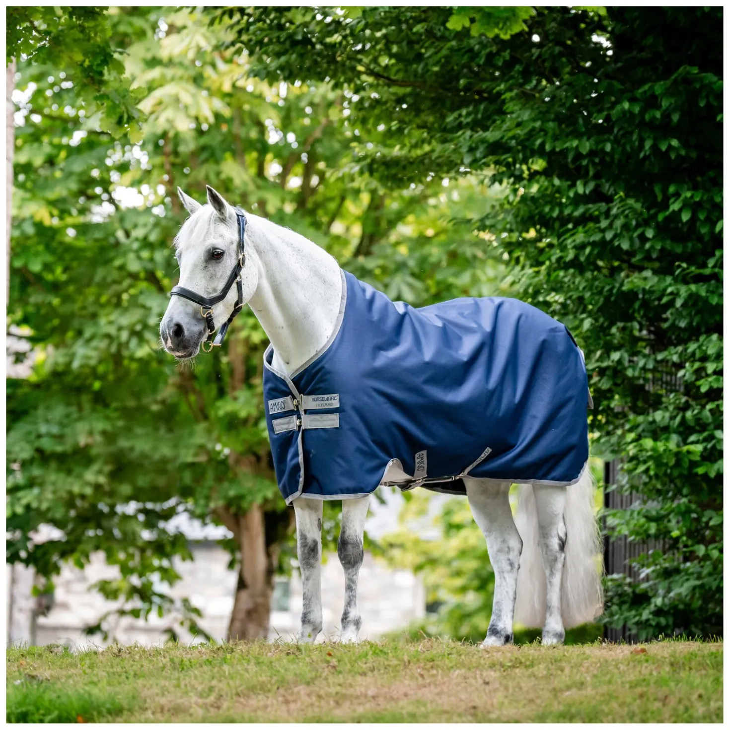 HORSEWARE Weidedecke AMIGO Ripstop 900 Fleece Lining, 50 g