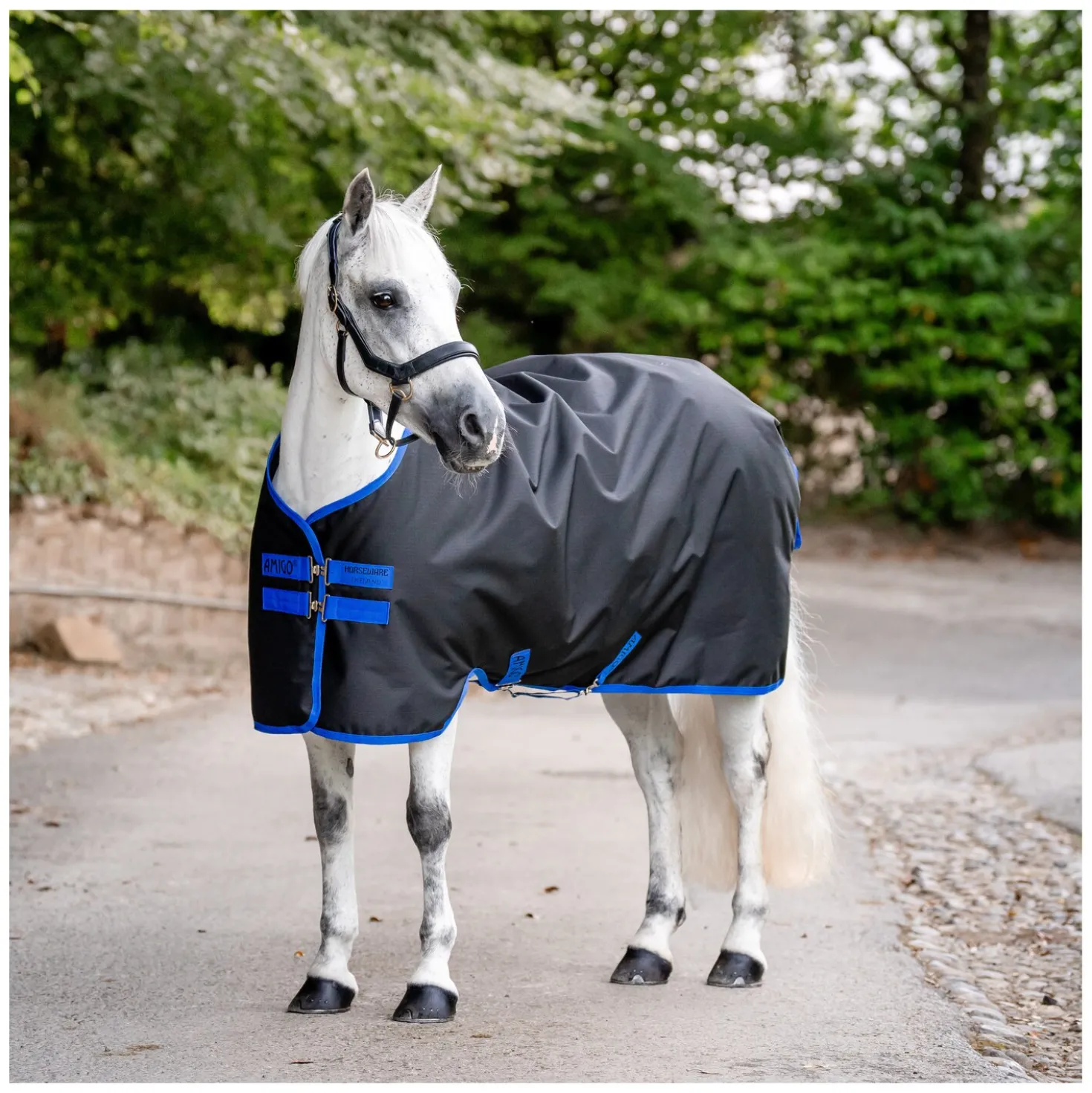HORSEWARE Weidedecke AMIGO Ripstop 900 Denier, ohne Füllung
