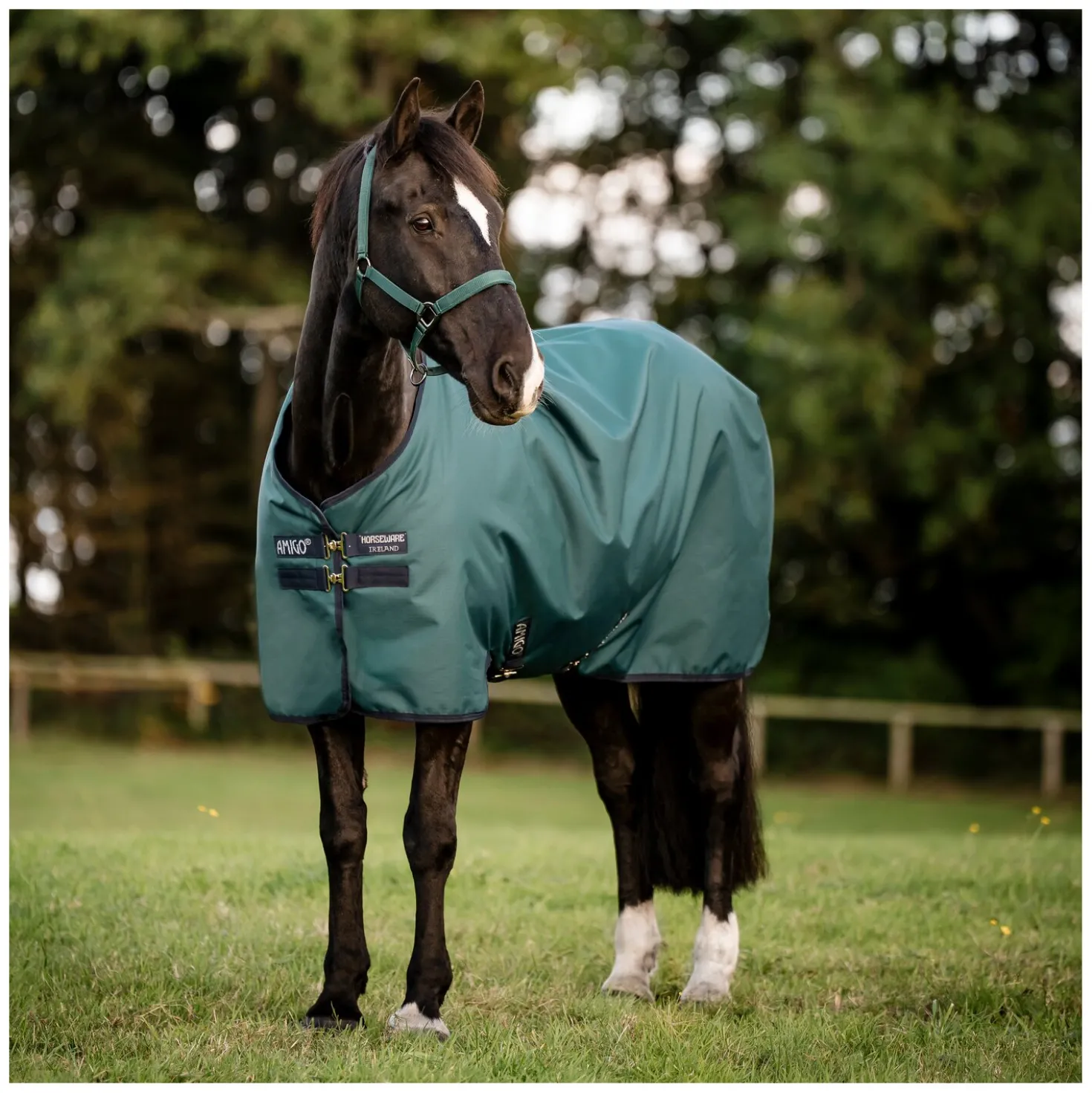 HORSEWARE Weidedecke AMIGO Ripstop 900 Denier, 100 g