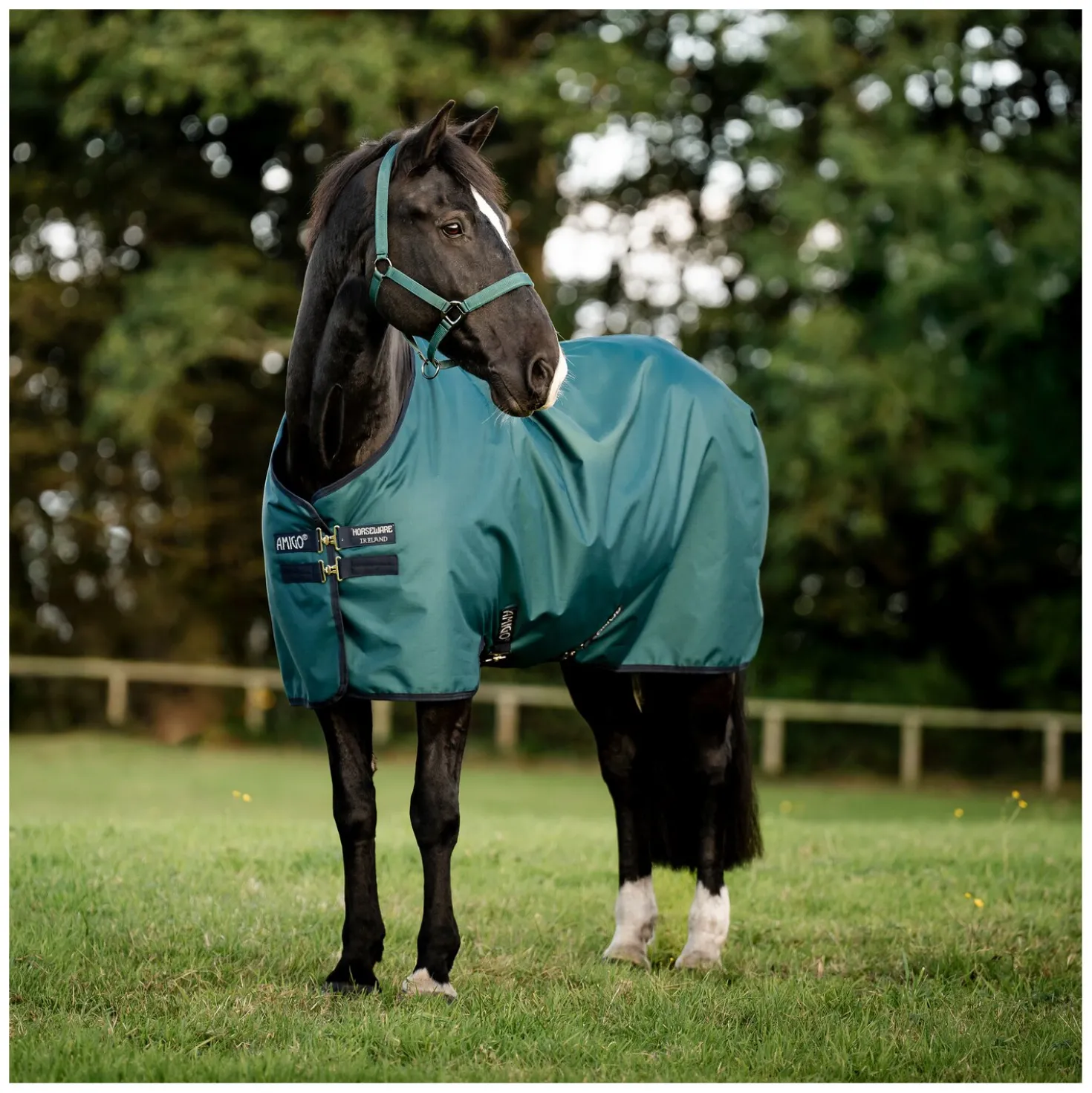 HORSEWARE Weidedecke AMIGO Ripstop 900 Denier, 100 g