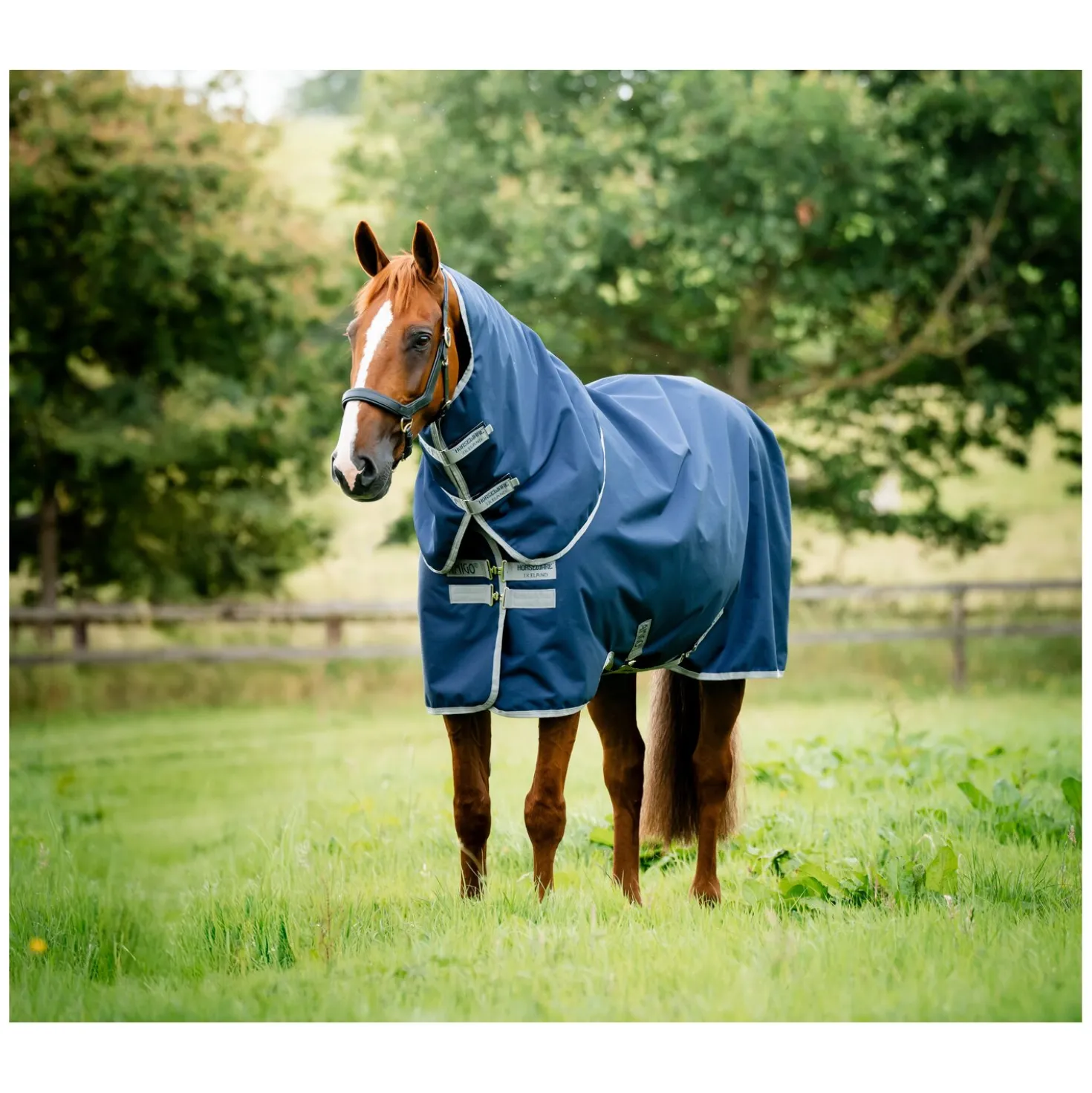 HORSEWARE Weidedecke AMIGO Ripstop 900D Plus, 100g