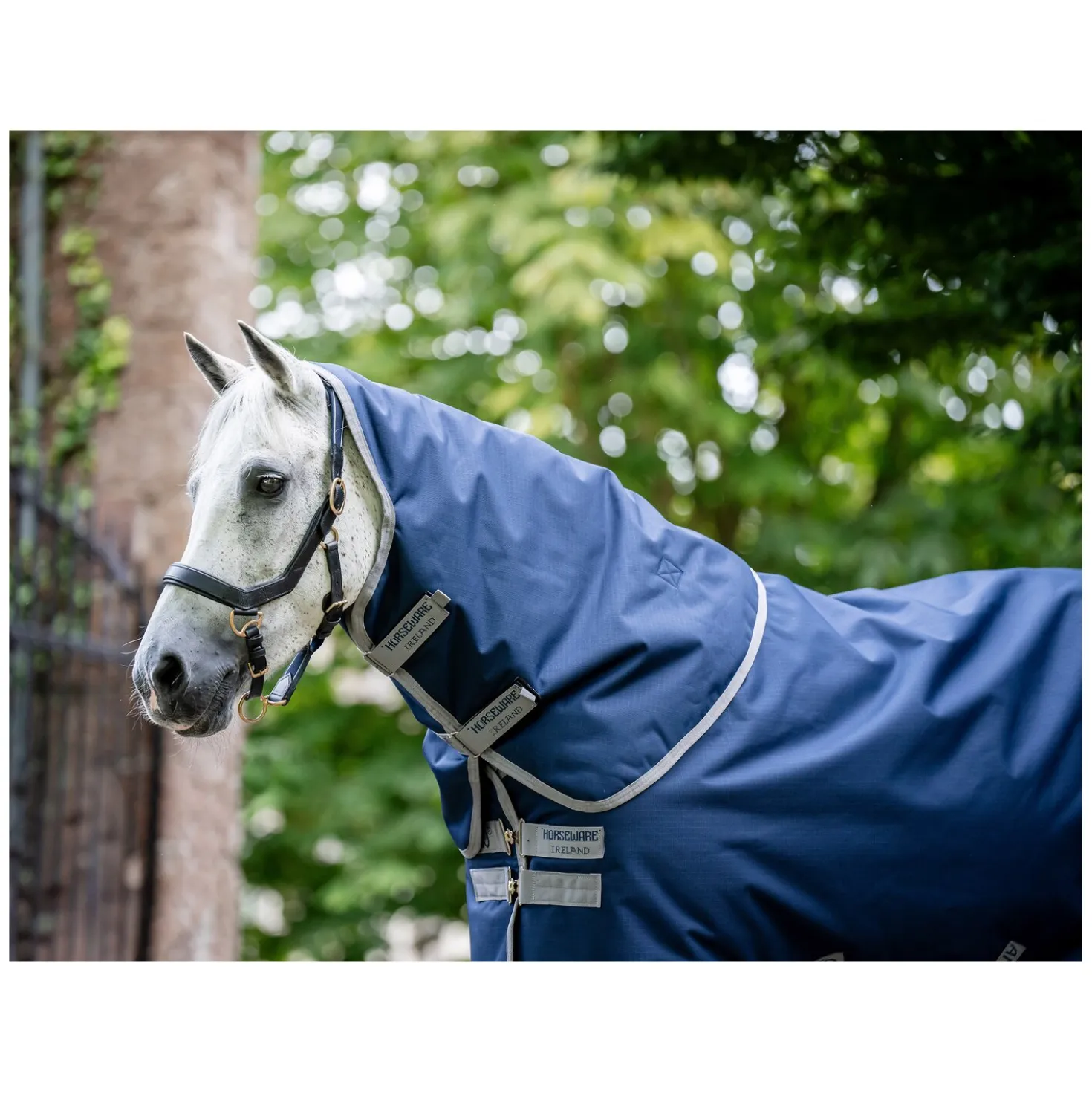 HORSEWARE Weidedecke AMIGO Ripstop 900D Plus, 100g