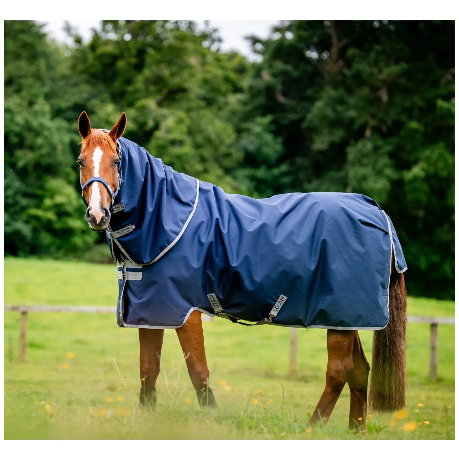 HORSEWARE Weidedecke AMIGO Ripstop 900D Plus, 100g