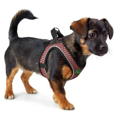 HUNTER Geschirr Hilo Comfort