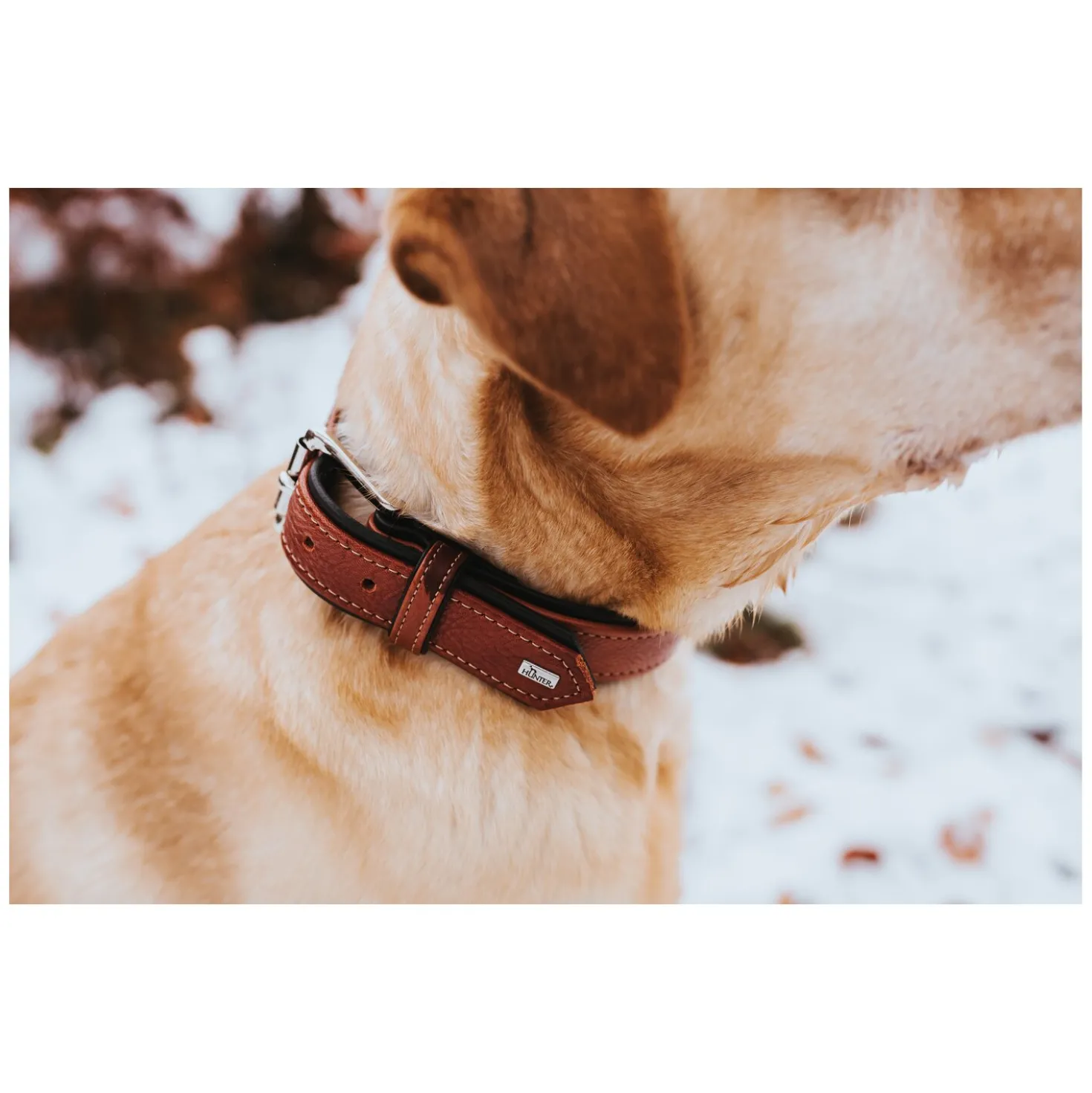 HUNTER Halsband Canadian Up