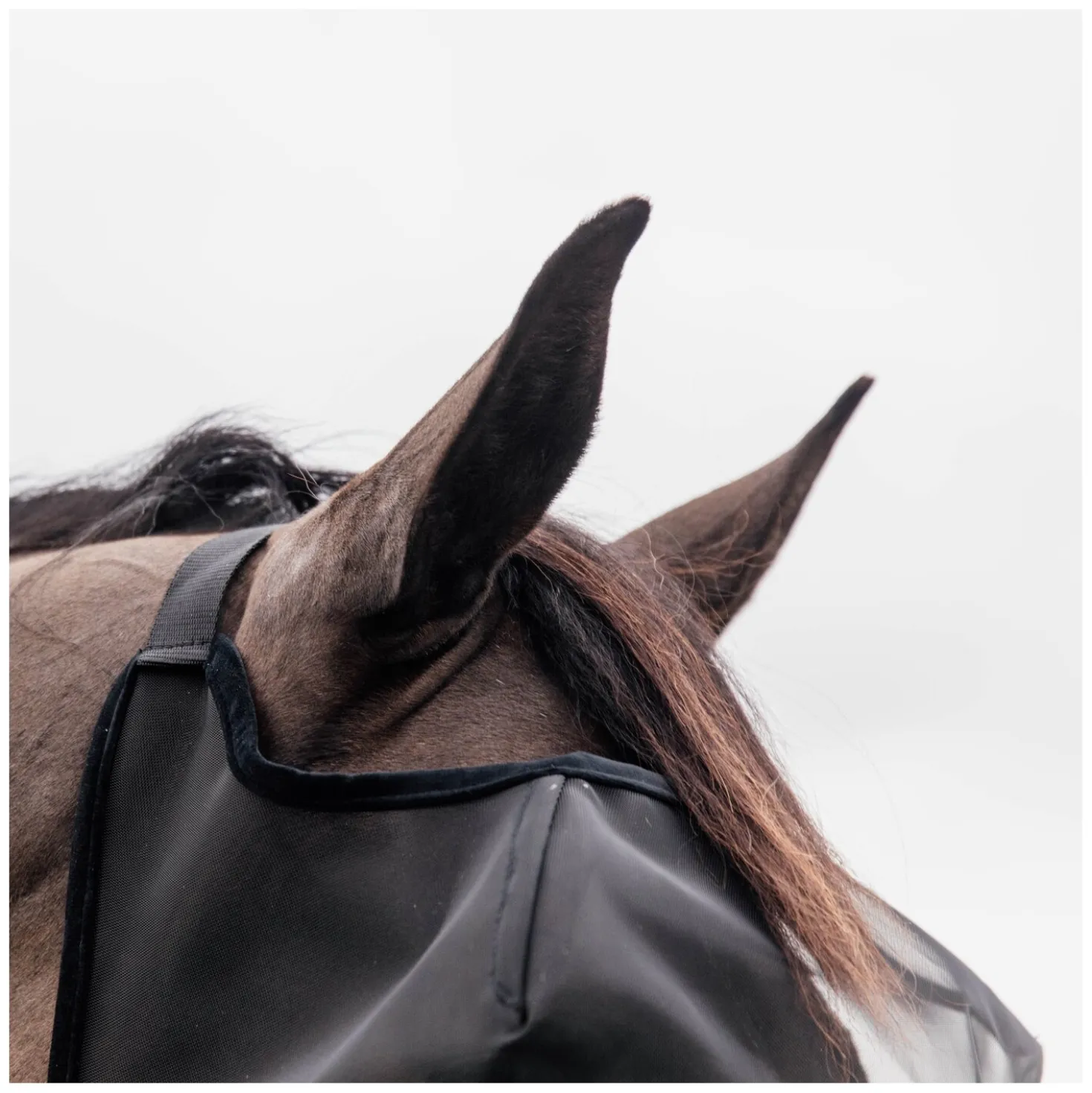 KENTUCKY Fliegenmaske Classic ohne Ohren