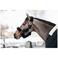 KENTUCKY Lammfell-Transport-Halfter
