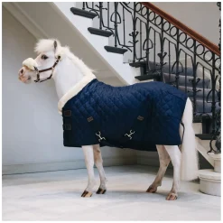 KENTUCKY Show Rug