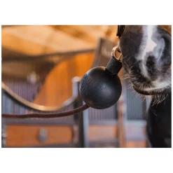KENTUCKY Strick- und Wandschutzball