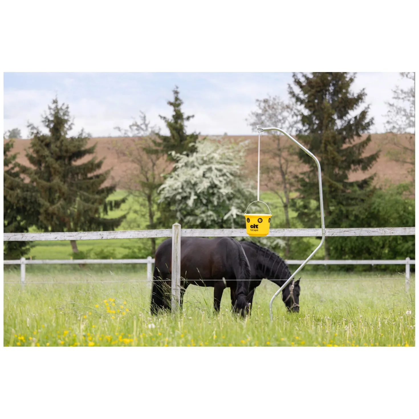 KERBL cit Fliegenfalle FlyCage6