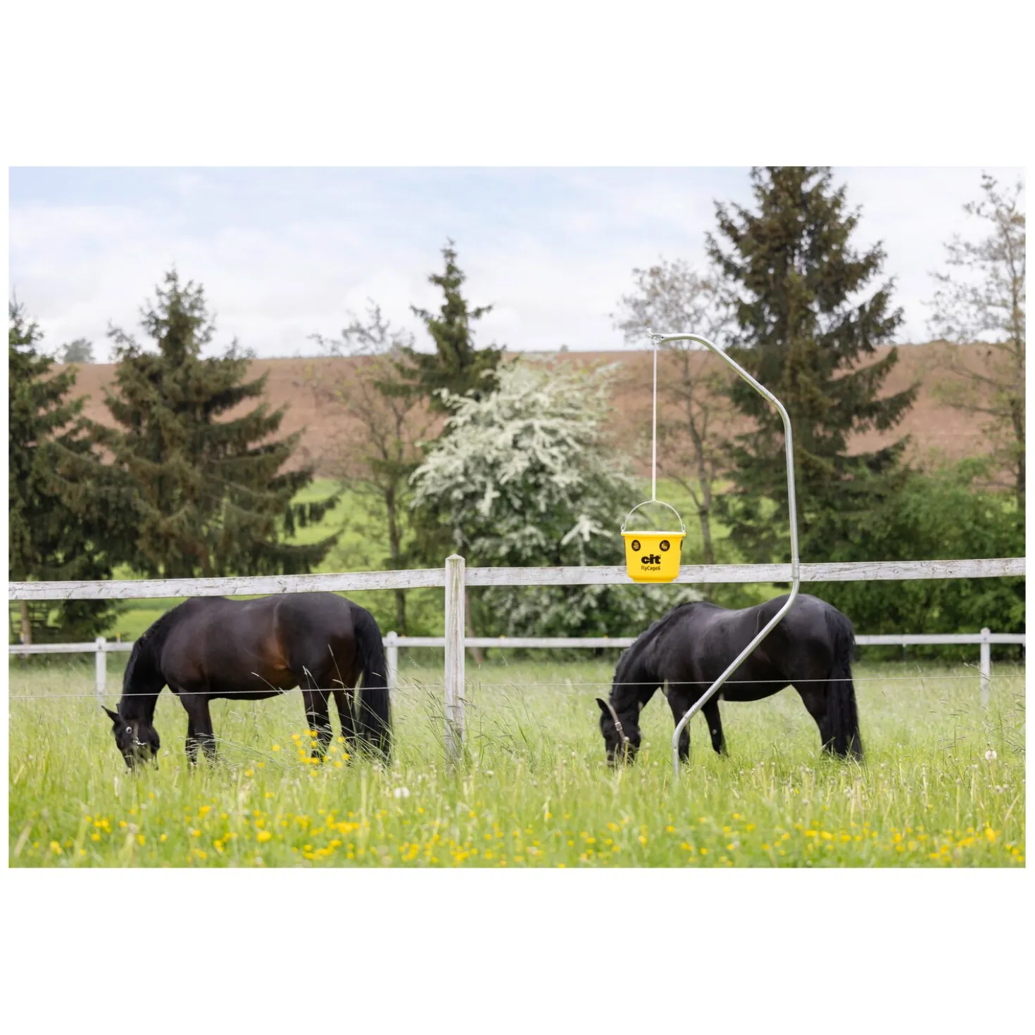 KERBL cit Fliegenfalle FlyCage6