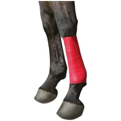 KERBL Selbsthaftende Bandage EquiLastic