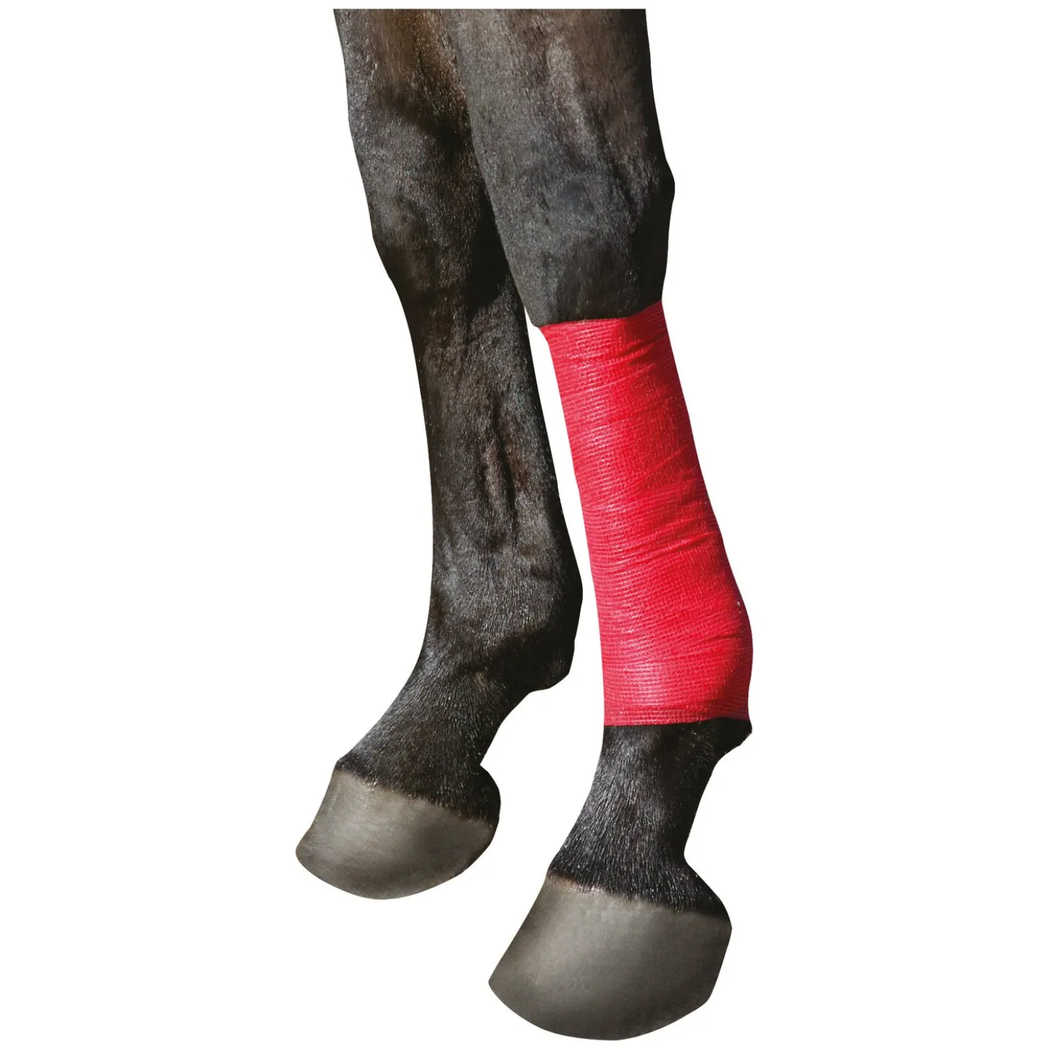 KERBL Selbsthaftende Bandage EquiLastic