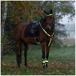 KERBL Stirnriemen LED