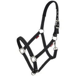 LeMieux Core Halfter Essential Yard