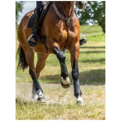 LeMieux Gamaschen MIMsafe XC Boot Front, für Vorderbeine