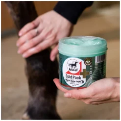 leovet Cold Pack Apothekers Pferdesalbe