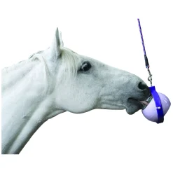 Likit Boredom Buster