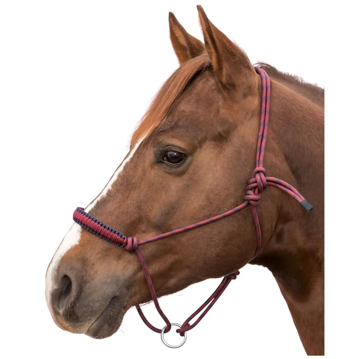 L-pro West Knotenhalfter Bicolor