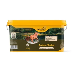 marstall Amino-Muskel