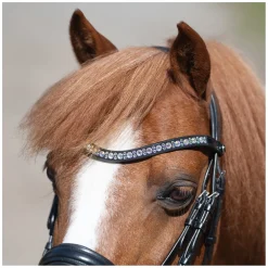 MONTIVUM Pony- und Shetty-Trensenzaum Managua