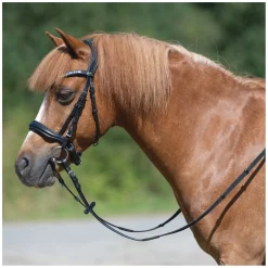 MONTIVUM Pony- und Shetty-Trensenzaum Managua