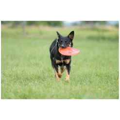 pawberry Frisbee Bissstark