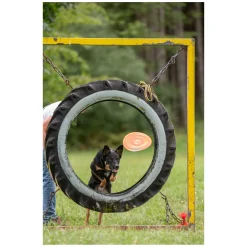 pawberry Frisbee Bissstark