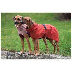 pawberry Hundemantel Rainstormer