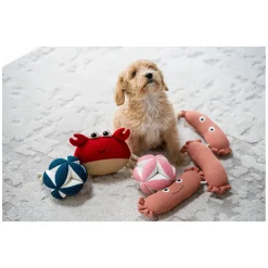 pawberry Hundespielball Leckerli