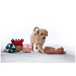 pawberry Hundespielball Leckerli