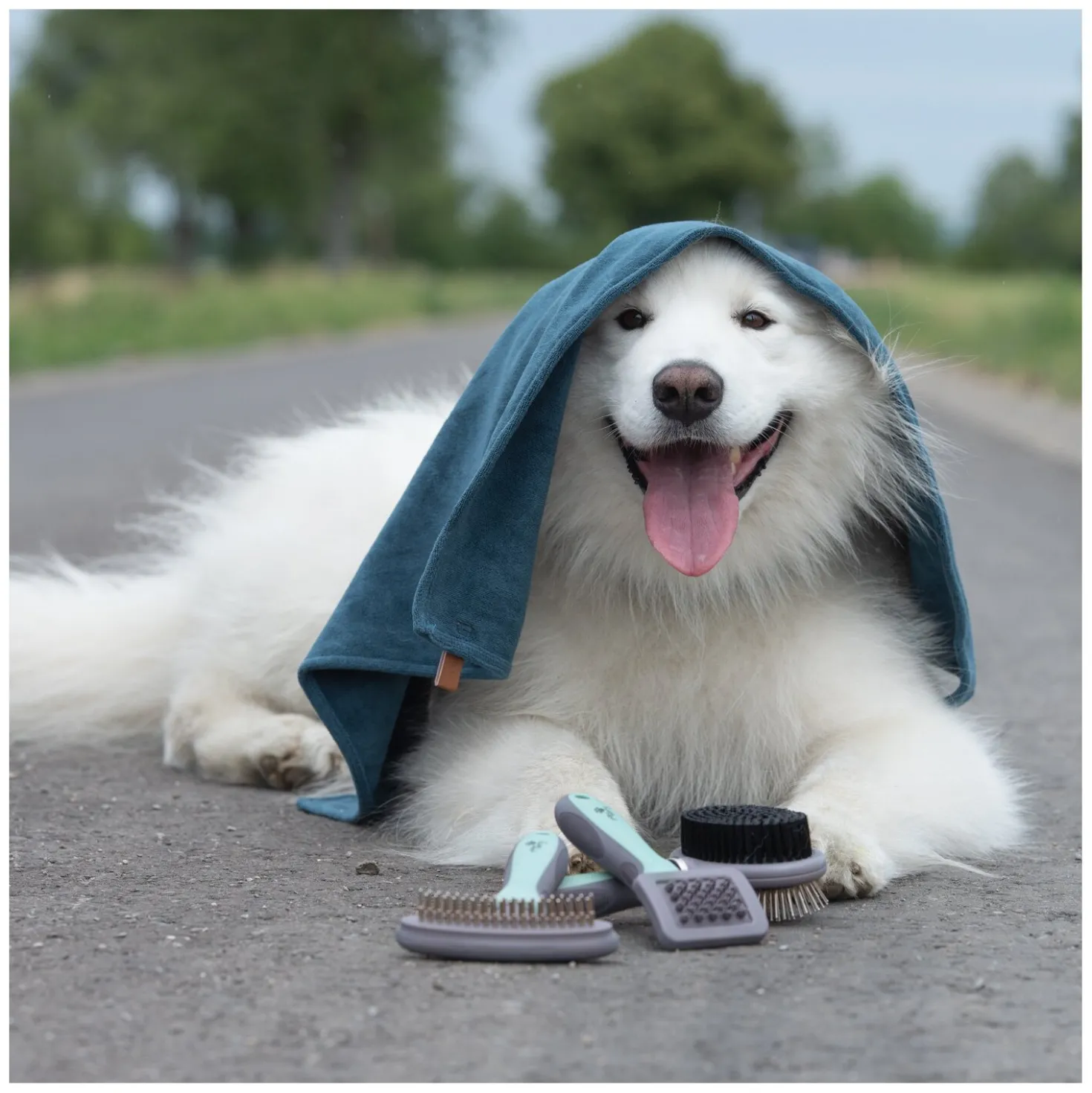 pawberry Unterwollrechen