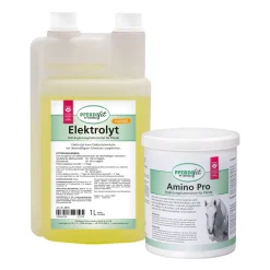 PFERDEfit by Loesdau Set Leistung I - Elektrolyt flüssig und Amino Pro
