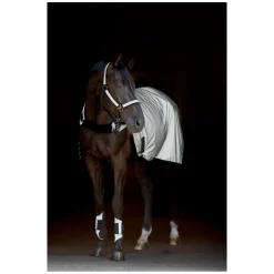 PROTECT by Horse-friends Bewegungsdecke