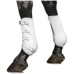 PROTECT by Horse-friends Dressurgamaschen Amadora V, vorne