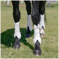 PROTECT by Horse-friends Dressurgamaschen Amadora H, hinten