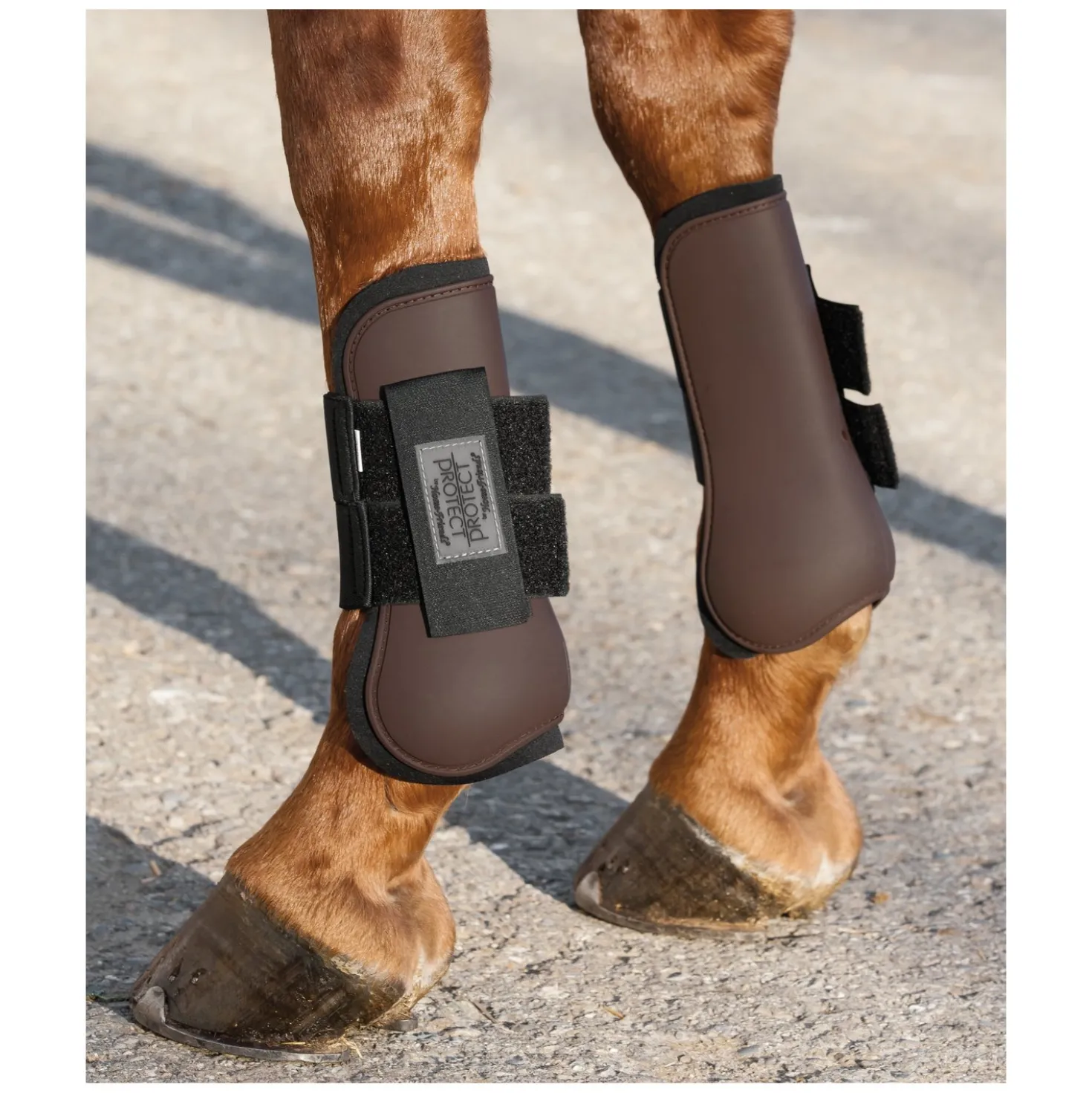 PROTECT by Horse-friends Gamaschen, vorne