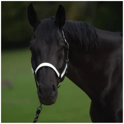 PROTECT by Horse-friends Halfter