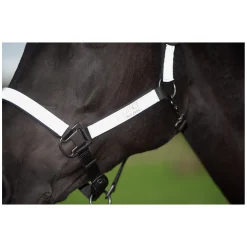 PROTECT by Horse-friends Halfter
