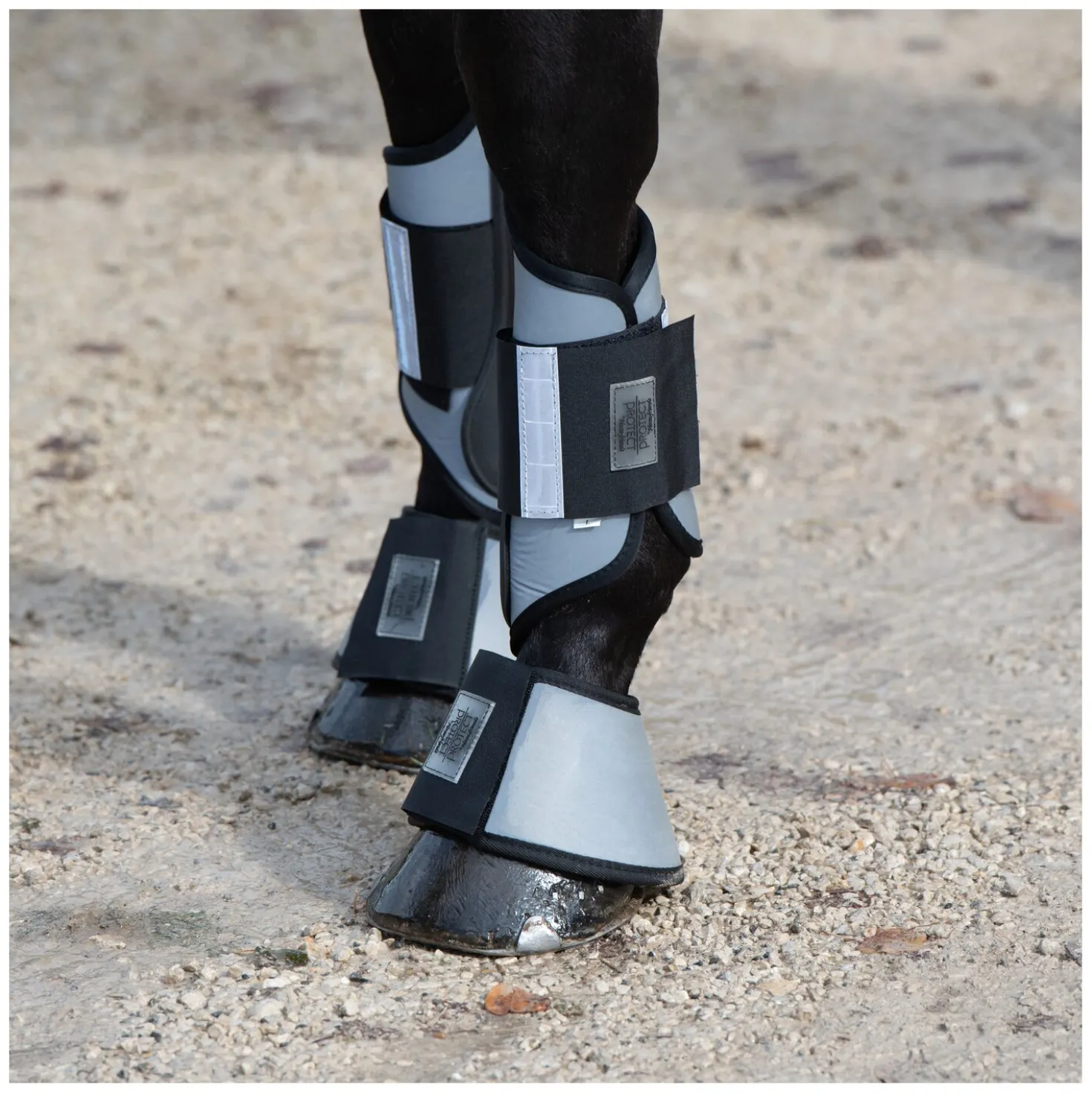 PROTECT by Horse-friends Hufglocken
